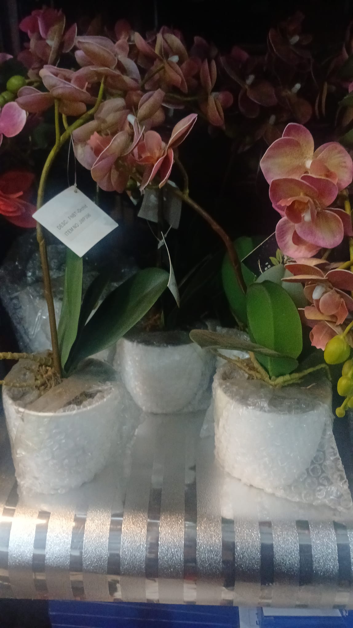PLANTAS ARTIFICIALES